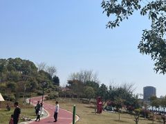 -九龙湖公园