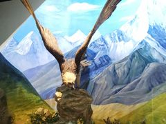 -陕西自然博物馆