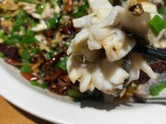 -三猫黑鱼花(南大店)