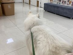 -美联众合动物医院·24h京西诊疗中心