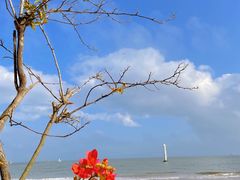-中国（海南）南海博物馆