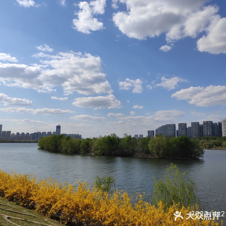 沈水湾公园