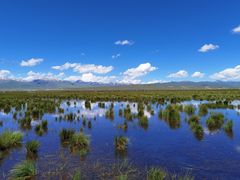 -花湖生态旅游区