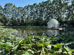 -三圣花乡旅游区