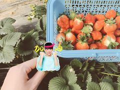 -关山古镇