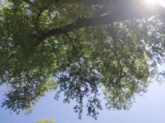 -长春市南湖公园