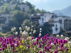 -篁岭景区