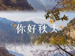 -秦岭风景区