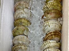 -华都海鲜酒家
