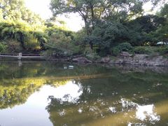 -汇龙潭