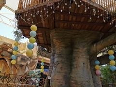 -杭州开元森泊度假乐园