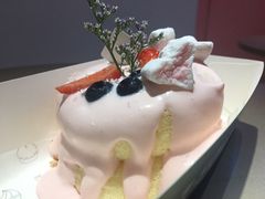 -狐狸和向日葵(北京路店)