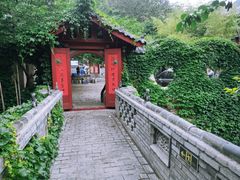 -老张烤羊(王哥庄店)