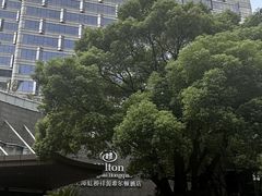 -上海虹桥祥源希尔顿酒店
