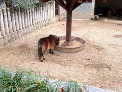 -成都动物园