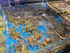 -徐记海鲜(大雁塔|金都店)