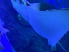 -常州海昌海洋探索馆