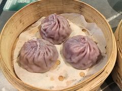 -鹏欣水游城