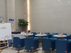 -碧莲盛·不剃发植发