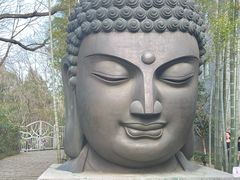 -杭州植物园