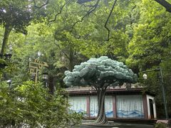 -杭州黄龙洞