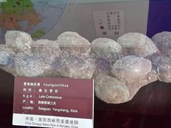 android_upload_pic-中国西峡恐龙遗迹园