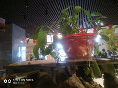 -李二鲜鱼火锅(保康店)