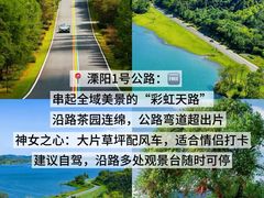 -紫藤园·天目湖大鱼头(南山竹海店)
