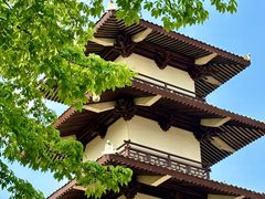 -海花岛旅游度假区