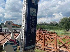-丁香湖公园