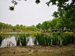 -东郊湿地公园