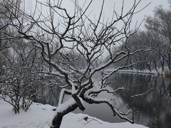 -颐和园