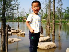 -上海长兴岛郊野公园