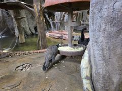 -长鹿旅游休博园