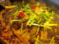 -老板恋上鱼(恒隆广场店)