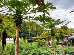 -任达丞国农庄(任达山庄店)