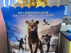 -SFC上影影城(港汇永华IMAX激光店)