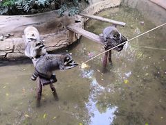 -长鹿旅游休博园