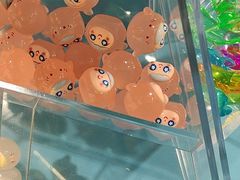 -海合安青岛极地海洋公园