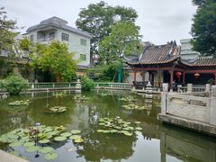 -碧江金楼