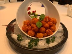 -院里寻菜·精致庭院菜(观沙岭店)