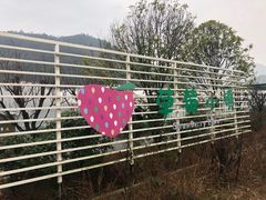 -建德果蔬乐园绪塘草莓基地