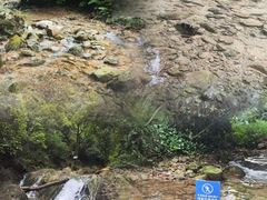 -南海湾森林生态园