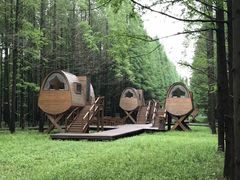 -黄海国家森林公园