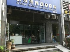 -伟伟宠物医院·CT影像中心·瑞派犬猫综合性门诊(汉口总院)
