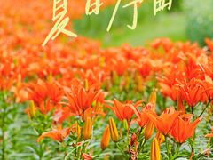 -花开海上生态园