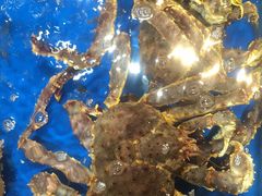 -盒马鲜生(顺义店)