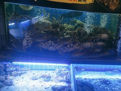 -福禧荟·海鲜自助