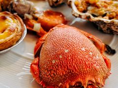 -视界美食自助餐厅·石家庄希尔顿酒店