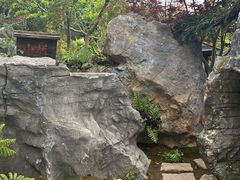 -上海鲜花港